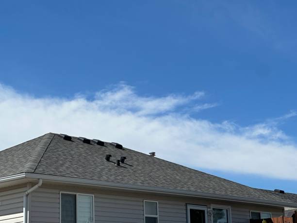 Best Roof Waterproofing  in Allendale, CA